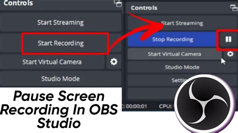 Pausing and Stopping the Recording